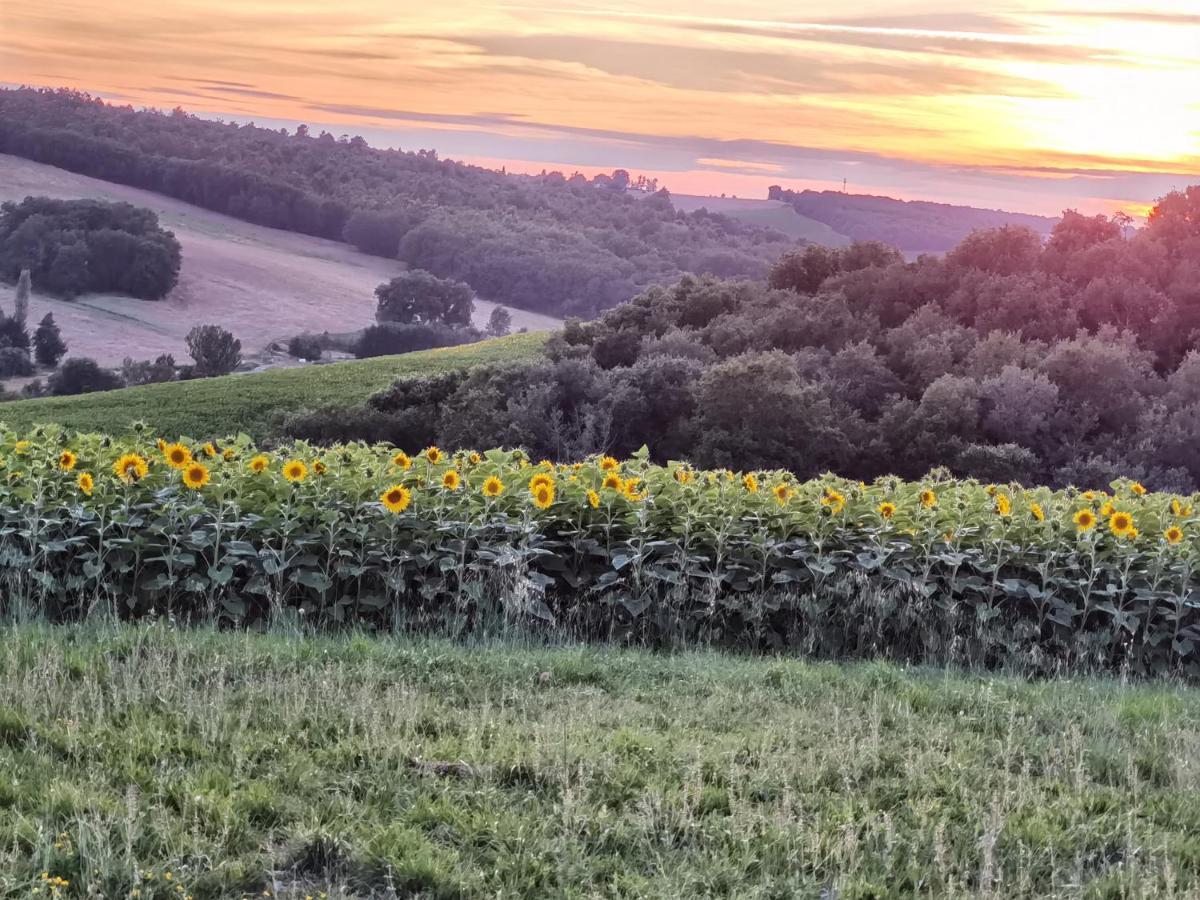 Les Hauts De Grazac, Chambres Et Tables D'Hotes Grazac  ภายนอก รูปภาพ