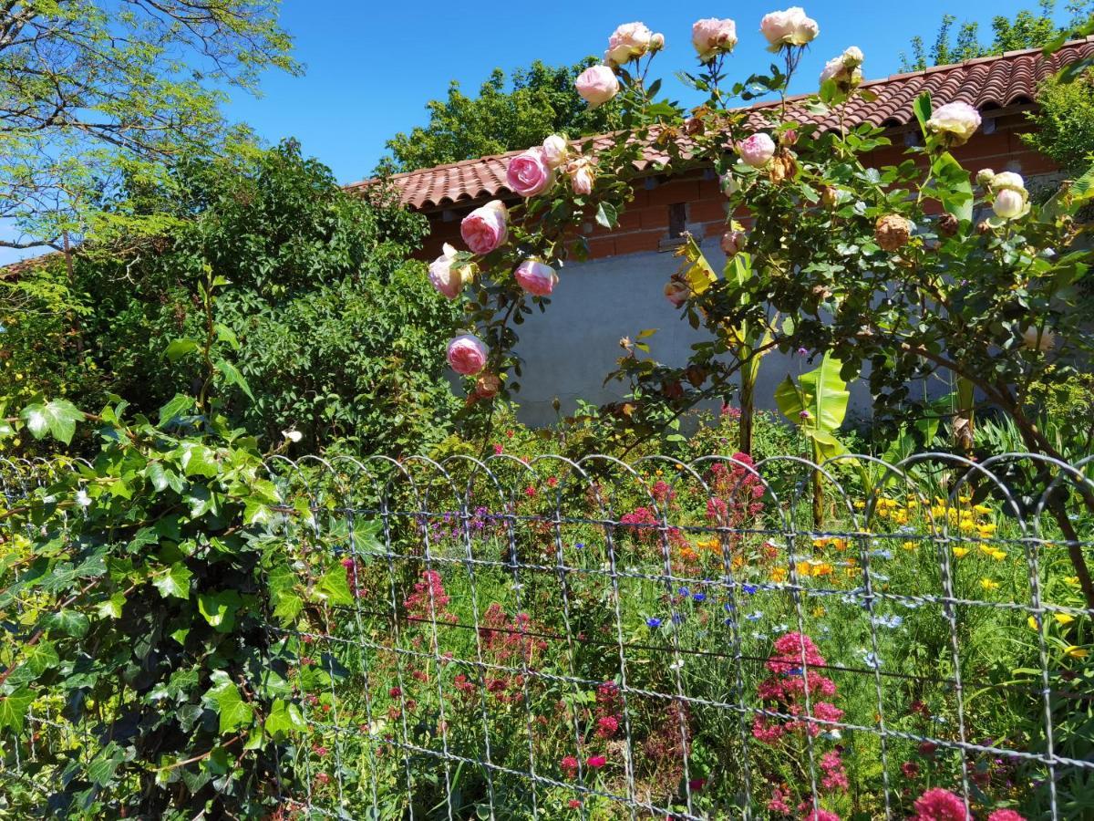 Les Hauts De Grazac, Chambres Et Tables D'Hotes Grazac  ภายนอก รูปภาพ