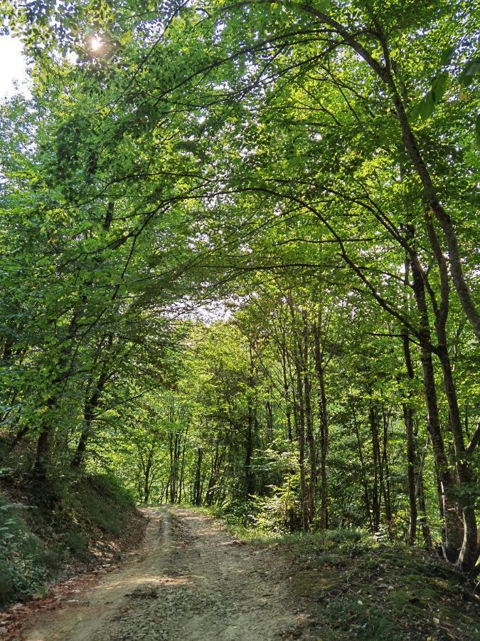 Les Hauts De Grazac, Chambres Et Tables D'Hotes Grazac  ภายนอก รูปภาพ